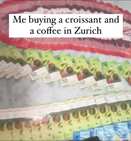 🤑🇨🇭 #suisseln #suisse #schweiz #fürdich #switzerland #suisseromande #pourtoi #svizzera 