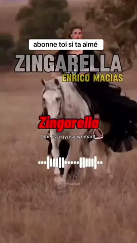 #duo avec @Musique Fr #zingarella 