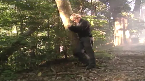 Alberto vê o espirito de Alexandre na floresta 🔥🔥🔥🔥🔥🔥🔥🔥🔥🔥