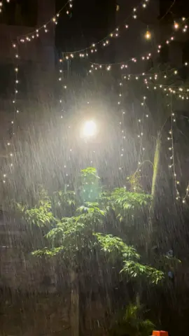I love this sound 🌧️💕#rain #dhakarain #night #weather #Love #frpシ #foryou #bd #dhaka #bangladesh🇧🇩 #foryou 