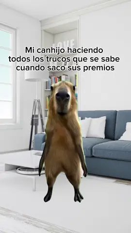 Saludables, crujientes y deliciosos son los premios CRUNCHIES de canhijos.com 🍃 Sin conservadores y sin químicos 🦷 Limpia sus dientes 👩‍⚕️ Llenos de nutrientes 😋 Irresistibles 🇲🇽 Envíos a todo México en canhijos.com !! #perro #perros #premios #premiosnaturales #premiosdeshidratados 
