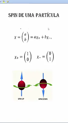 O spin de uma partícula é uma propriedade importante para descrever as interações das partículas, mas não possui um análogo clássico.#cienciaentiktok #ciencia 