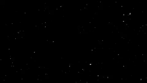 سورة القارعة | ياسر الدوسري #ياسر_الدوسري #الحرم_المكي #viral 