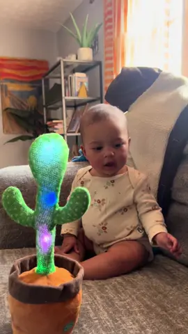 The conversation continues 🤣 #fyp #cactusbaby #funny #homevideos 
