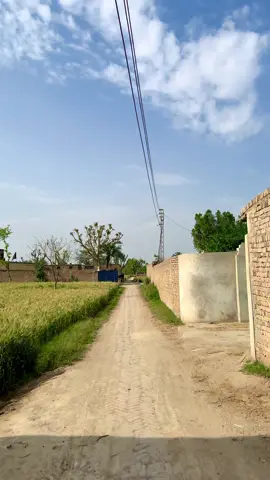 Simple Village Street #villagehd #villagelife #villagestreet 