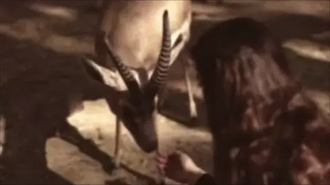 #explore #fyp #like #عبدالرحمن_النجم 