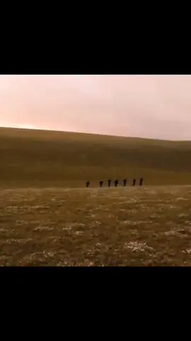 ANTOLOGÍA: HOY ME IRÉ 🎶🍻