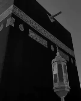 mən hələ qarə gözünən gözəlim doymamışam#metinnusreti #eyyarim #keşfet #kəşfettttt #keşfetdeyizzzzzzz #kesfetbeniöneçıkartkesfetbeni #kesfetbeniöneçıkart 