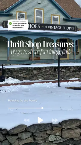 Replying to @BEE  The goal this year is to add more stores for my go to vintage finds! Ill be sure to continue to share with you all!  #thrifted #thrift #thrifting #thriftshop #thrifttok #thriftstore 