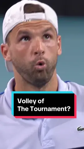 Smooooth 💯 #dimitrov #tennis #tennistv 