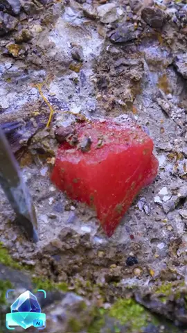 The red ruby, a lucky day of mine. #stone  #stones  #stoneid  #freestone  #stoneapp  #rockid  #rockapp  #rockfinder  #crystalguidance  #StoneIdentifier  #Rocks  #RockIdentifierStoneIDFree  #Stones  #MineralIdentifier  #RockIdentifierStoneID  #IdentifyCrystals  #RockIdentifierFree  #FreeGemIdentifier  #Rockhound  #RockAndMineralIdentifier  #IdentifyRocks  #RockIdentification  #RockID