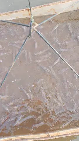 🤭🤭🤭🤭🤭🤭🤭