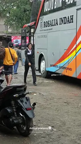 pesona pramugari Rosalia Indah #bus #busakap #rosaliaindah #pramugari #busmania #buskeren #reels #fypシ゚viral #transportasi #viral #fyp 