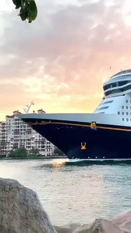 Tàu du lịch Disney Dream từ cảng Miami #ship #cruise #cruiseship #disney #transport #logistics 