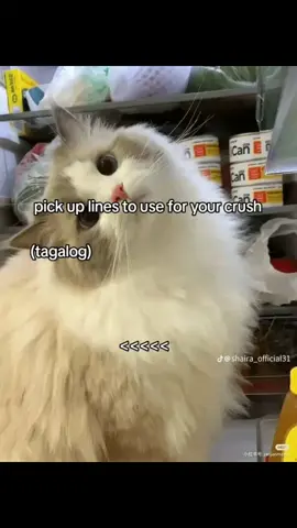 akala ko sa 2023 lang crazy inlove, sayu pa din pala huyyy😂🫣#crush #soulmate #foryoupage❤️ 