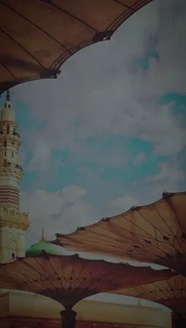 يا من ترجون شفاعته صلوا عليه وسلموا تسليما #ذكر_بها_غيرك  #صلوا_على_رسول_الله #صلى_الله_عليه_وسلم #الباقيات_الصالحات #يوم_الجمعة #يوم_الجمعه #توفيق_الصائغ 