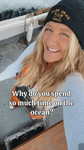 Lobstering is not just about catching lobsters—it’s about the magical marine world you become a part of. As you navigate the waters, you’re surrounded by a stunning array of sea life. You never know what you’re going to see out there and that’s my favorite part of the job. Lobstering is not just a means of livelihood, but an exploration and appreciation for the rich biodiversity of the sea; It’s a way of life 🌊🦞 #lobstergirl #lobsterwoman #girlsthatdive #freediving #freediver #molamola #dolphins #whales #humpbackwhale #humpback #boatlife #oceanlife #wayoflife #livlihood #fishingisawayoflife #fishing #saltwaterfishing #rodandreel #myboat #newenglandliving #northatlanticocean #northatlantic #sustainablefishing #sustainablefisheries #womenwhodive #womenwhofreedive #girlsthatfreedive #womenonthewater 