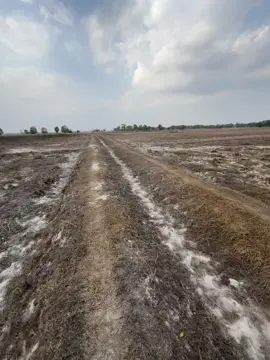 #ស្រុកស្រែ🖼️🌾🌞🌔❤️ 