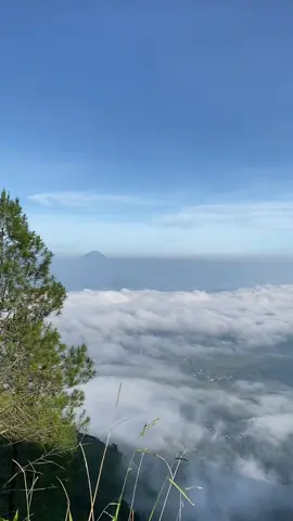 bahan swmu bolo🔥 #mentahan #mentahanvideo #story #storywa #andong #gunung #sw #bahansw #fypシ゚viral #fyp #bahanswmu #pendakiindonesia #pendaki #pendakigunung 