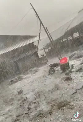 Mưa đá trưa qua 28/3 tại Mộc Châu Sơn La #mocchau #xuhuong 