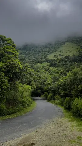 That place is beautiful 🇱🇰💚🍃 . Riverston | Mathale #srilankatravel #feeling #green #naturevibes #naturelover #mathale #riverston #natureathome #travel #travellover #srilanka #riveston #foryou #world #beautiful #travellife #nature #naturevideo #beautifulsrilanka #visitsrilanka #greenworld #ruwanthadenuwan 