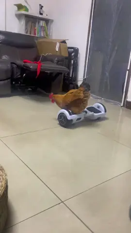 Hơn khối thanh niên nhé 😀