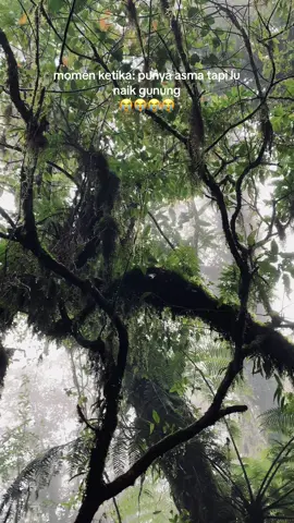 PLIS INI BERDASARKAN FAKTA😭 #fypシ゚viral #fyp #xyzbca #pendakigunung 