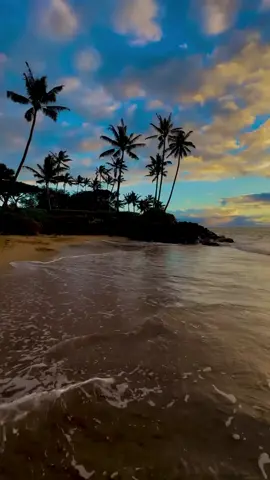 | وائل كفوري (@... ... في شي اسموعشرة حلوة وسنين وايام مابهونوبعمرن إلاع اولاد الحرام ... وفي شي اسمو مللك الرومانسية وائل كفوري.