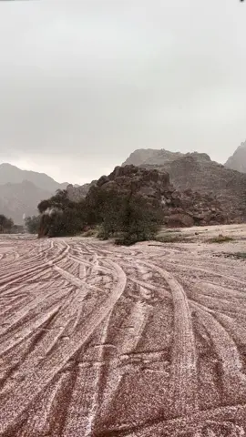 #حايل #ثلوج #اجواء_الشتاء #السعودية🇸🇦 