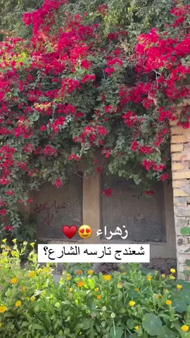 ياهيه تريد اكتب اسمهه سوي تاك ل زهراء #صعدوو_ءڪڪسبلور_للايڪ_متابعه #fypシ #محضوره_من_الاكسبلور_والمشاهدات #متابعه_ولايك_واكسبلور_فضلا_ليس_امر #متابعه_ولايك_واكسبلور #CapCut #fypシ #تصميم_ستوريات_🌸🖇💓 #CapCut #عباراتكم_الفخمه📿📌 #CapCut #fypシ #فيديوهاتي_تصاميمي🎶🎬 #CapCut #شعب_الصيني_ماله_حل😂😂 #CapCut #ستوريات_متنوعه #فيديوهات_ستوري #متابعه_ولايك_واكسبلور_فضلا_ليس_امر 