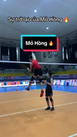 Cùng chờ đón sự trở lại của Mỏ Hồng ở giai đoạn 1 giải bóng chuyền vô địch quốc gia trong màu áo Hà Tĩnh nhé #mohong #saovangvietnamvolleyball #bongchuyen #bongchuyenvietnam #volleyballvietnam #volleyball #hatinh 