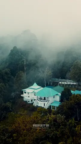 View Kadato Ici Buku Bandera #malukuutara #exploreternate #junjungkaidati #ternate #foryou #dfactorap #kesultananternate #fyp #masukberanda #forest 