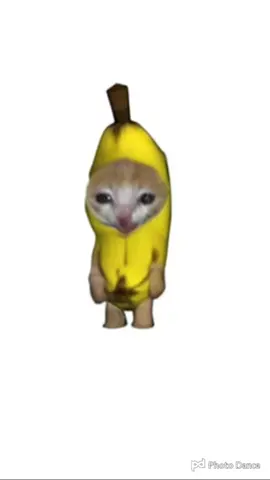 ユニークじゃない通常ダンスも踊ってもらった #CapCut #バナナ猫 #bananacat #catmeme #香蕉猫 #dance 