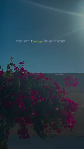 मन नै छैन भने मन राख्दिनलाई बोल्नु किन पर्यो, म नभएर कुनै फरक पर्दैन भने म हुनु किन पर्यो, पहिले जस्तो feelings छैन भने भो छोड्देउ नामको मात्रै यो सम्बन्ध हुनु किन पर्यो #evaanmagar #touchingwords #nepaliquotes #dang 