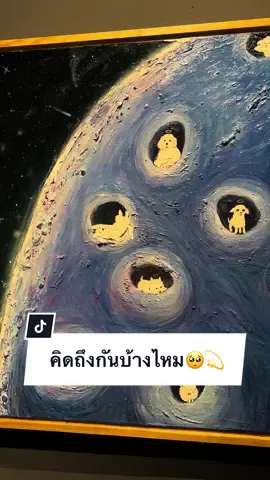 บนดาวหมาจะเป็นยังไงบ้างนะ 🥺🐶💫 #ดาวหมาเราฝากน้องด้วยนะ  #คิดถึง  #เธรดเศร้า 