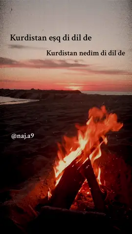 Kurdistan eşq di dil de…❤️ #kurdistan #agir #foryou #rojava #rojhalat #bakur_başur_rojava_rojhilat #kudish #kurdisch #kurd #kurdishmusic #music #foryoupage #kurdistan🇹🇯️ #kurdishtiktok #fürdich #fyp #rojda #delalê #kurd #kurdi #qamishlo #mardin 