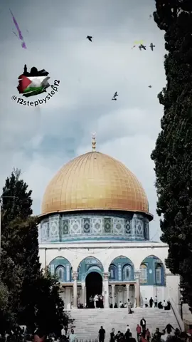 إرفع راسك انك فلسطيني  يسعد صباحك فلسطين #اغاني_فلسطينيه #تراث_فلسطيني #تكلكش #صامدون #اشارة_النصر #✌️ #شعب_الجبارين #التراث_الفلسطيني_الاصيل #مدن_وقرى_فلسطينية #الثوب_الفلسطيني #رام_الله #غزة #القدس #الخليل #نابلس #جنين #يافا #بيت_لحم #حيفا #عكا #الجليل #اريحا  #حنا_رجالك_يا_غزة_ويا_ضفتنا_الغربيه  #كانت_تسمى_فلسطين_صارت_تسمى_فلسطين #على_هذه_الأرض_ما_يستحق_الحياة #محمود_درويش #فلسطين_الخط_الاحمر_🇵🇸 #مدن_وقرى_فلسطينية  #حنظله #غزة_تحت_القصف🚀✈🇵🇸😰🚁 #يا_جبل_ما_يهزك_ريح👌🏽 #فلسطيني_يا_خال #فلسطيني🇵🇸وافتخر #طالعلك_يا_عدوي_طالع #فلسطين_مصنع_الرجال #تحيا_فلسطين #ما_حدا_علينا_يقدر_فلسطين_الخط_الأحمر #تكلكوش #تكلكش #القدس_لنا🇵🇸🕌 #عمر_العبداللات #مدن_فلسطينية #هنا_فلسطين #ما_حدا_علينا_يكبر #دبكه #يوسف_الحناوي #فلسطين_في_القلب #اغاني_فلسطينية #دلعونه #فلسطين #عرب48 #غزه #تركيا🇹🇷اسطنبول #اكسبلور #اكسبلورexplore #ترند #ترند_تيك_توك #ترند_جديد #viral #fypシ #foryoupage #foryou #fyp #فلسطين🇵🇸 #حوت_البسفور #يوسف_الحناوي #ترندات_سفينة_عطر_الشام #الاردن #سوريا #لبنان #السعودية #الامارات_العربية_المتحده🇦🇪 #البحرين #الكويت🇰🇼 #قطر #ليبيا #اليمن #مصر🇪🇬 #تونس #الجزائر #المغرب #الوطن_العربي  @step 🇵🇸  @step 🇵🇸  @step 🇵🇸 