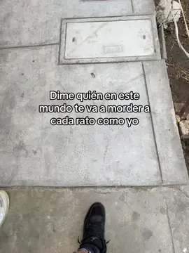 Nadie!! #parati #viral #amor #jajaja 