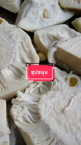 เครื่องปรุงใส่แค่น้ำปลาร้ากับน้ำตาลโตนดและพริกป่น แค่นี้ก็อร่อยมากแล้วนะคะ#เลี้ยงหมา17ตัว #ห้องครัวtiktok #เมนูดังtiktok #น้ําตาลโตนดรัญจวน #ปลาร้ารัญจวน #พริกป่นรัญจวน 