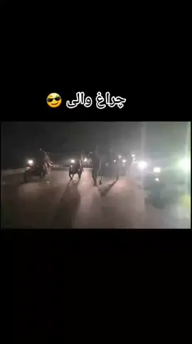 چراغ والی گھوڑی ۔۔۔ ببرشیرنی