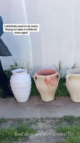 Planter season is here. #springdiy #DIY #shoppinghaul #homegoods #homegoodsfinds #homegoodshaul #haul #gardentok #planters #gardeningtips #plants #interiordesigner #ShoppingSpree #comeshopwithme 