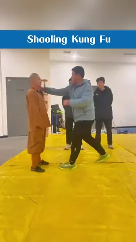 Shaolin Kung Fu #selfdefense #kungfu #fight #foryoupage #tiktok 