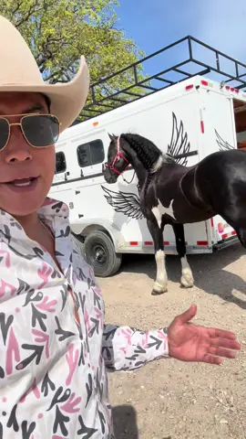 Yo no maquilo a mis #caballos #elcharroylamayrita #elcharroylamayrita #lamayrita #elcharrito #elcharro #elcharroylamayritaranch #caballos 