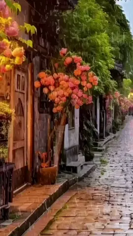 الصعاب ستمضي تذكر مريم يوم قالت ليتني مت قبل هذا #كلمات #مواعظ #مقولات #نصائح #تفاؤل #تفكير_ايجابي #راحة #سعادة #مما_قرأت #راقت #إقتباسات #إقتباس #نجاح #إكسبلور #فيديو #تصميم #تيك_توك #ترند #فولو #متابعة #موسيقى #مواعظ_عبر #fyp #foryou #explorepage #pourtoi #viral #tiktok #explore #foryoupage # #fypシ゚viral #fypシ #غزة #سوريا #عمان #المغرب #العراق #اليمن #الأردن #الجزائر #فلسطين #مصر 