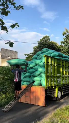 Pupung murah ayo kulak an 🥶#fyp #lewatberanda #gabahbalap🌾 #berasbalap #truk #foryou 