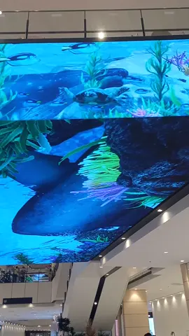 aquarium @aeon mall deltamas #aeon#aeonmall#aquarium#tempathits#mall#cikarang#bekasi#japanesefood 