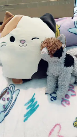 Hey amigos! Heatimg pads are not just for muscle aches/pain or cramps; they are also great for anxiety! I received this sample and it is part of the #tiktokspringsale right now. I love mine so much!! I highly reccomend you take advantage of tge cute animals they have if cats aren’t for you ❤️ #squishmallow #heatingpad #anxiety #musclepain #comfort #viral #trending #onsale #plush #foreveryone #MentalHealth #companion #calico #calicocat #onsale #fluffyfriends #mswarrior #painrelief 