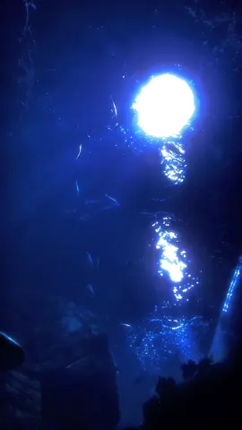 In the quiet of blue's embrace, Melancholy finds its place. Solitude sings in shades serene, A melody of blue #fyp #foryou #fypシ #ocean #ichikoaoba #lamp #fy #blue #aesthetic 