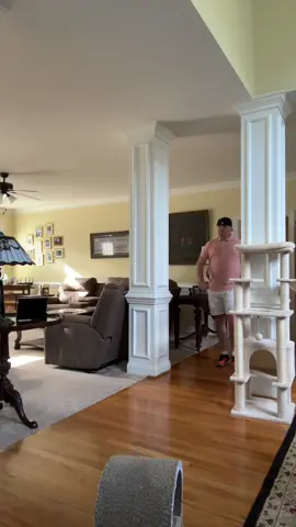 Squidward and Krabs made a huge mistake!!!!!! #fypage #fyp #funny #comedy #horror #spongebob #krustykrab #mrkrabs #epic #squidward 