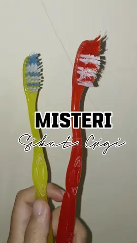 ada yg sama ga sih?  #pasutri #lucu #medhokclub #dagelan #rumahtangga 